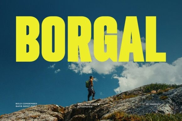 Borgal: A Bold Sans Serif Font for Modern Web Design