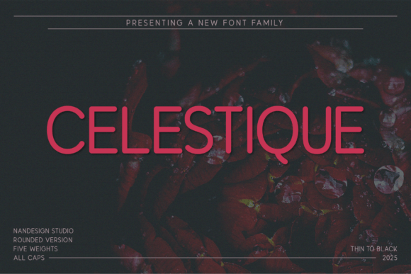 Celestique Rounded: A Modern Typeface for Editorial Design