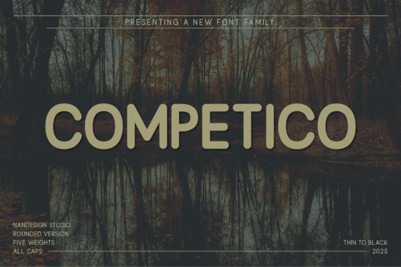 Competico Rounded: A Modern Sans Serif Typeface for Web Design
