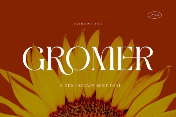 Gromer: A Modern Serif Font for Elegant Web Design