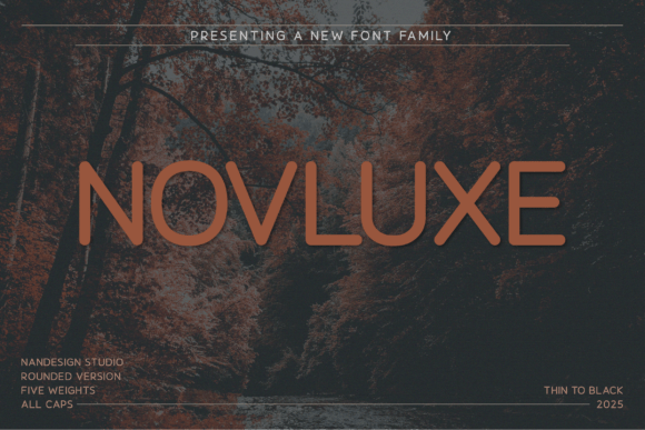 Novluxe Rounded: A Designer’s Practical Review